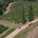 Mtb Tour - Montespertoli and the wine roads