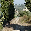 Mtb Tour - Tour on the truffle hills of San Miniato