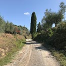 Mtb Tour - Tour on the truffle hills of San Miniato