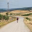 Mtb Tour - From Montaione to San Gimignano through the Via Francigena